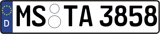 MS-TA3858