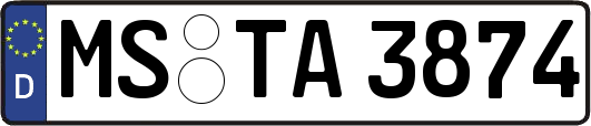 MS-TA3874