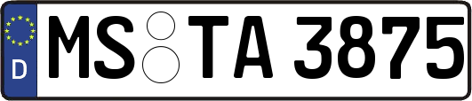 MS-TA3875