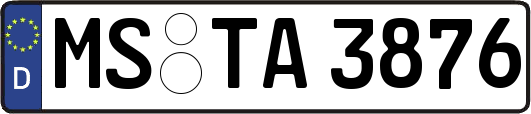 MS-TA3876