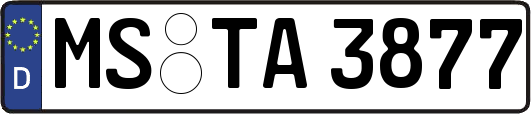 MS-TA3877