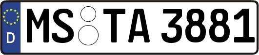 MS-TA3881