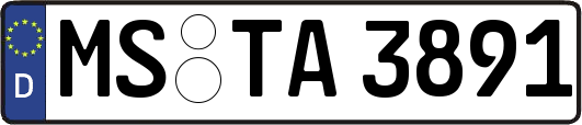 MS-TA3891