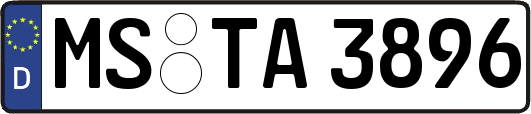 MS-TA3896