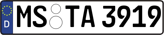 MS-TA3919