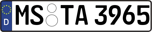 MS-TA3965