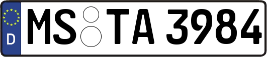 MS-TA3984