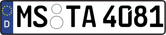 MS-TA4081