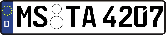 MS-TA4207