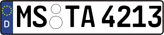 MS-TA4213
