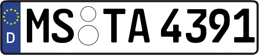 MS-TA4391