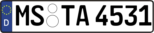 MS-TA4531