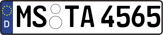 MS-TA4565