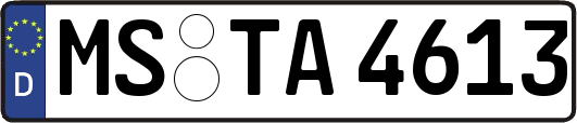 MS-TA4613