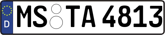 MS-TA4813