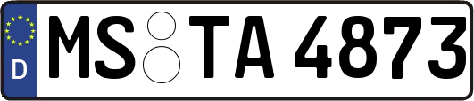 MS-TA4873