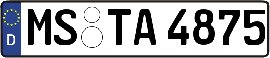 MS-TA4875