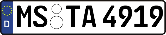 MS-TA4919