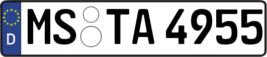 MS-TA4955