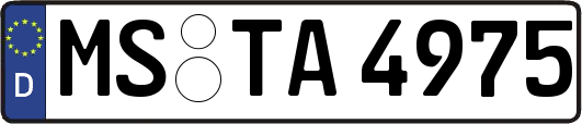 MS-TA4975