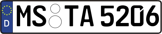 MS-TA5206