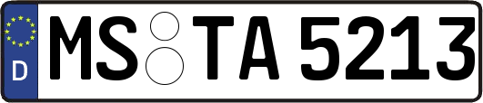 MS-TA5213