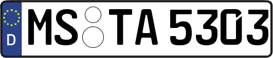 MS-TA5303