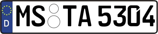 MS-TA5304