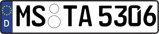 MS-TA5306