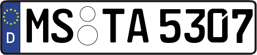 MS-TA5307