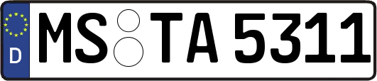 MS-TA5311