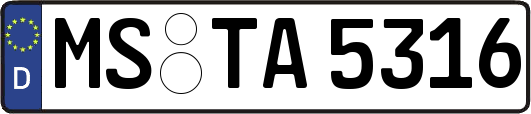 MS-TA5316