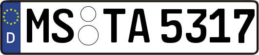 MS-TA5317