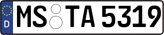 MS-TA5319