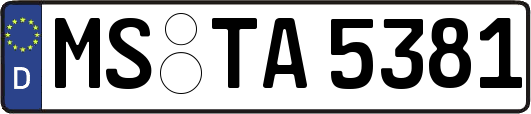 MS-TA5381