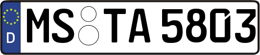 MS-TA5803