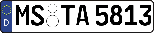 MS-TA5813