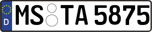 MS-TA5875