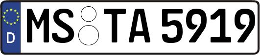 MS-TA5919