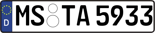 MS-TA5933