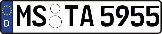 MS-TA5955