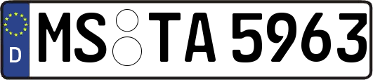 MS-TA5963