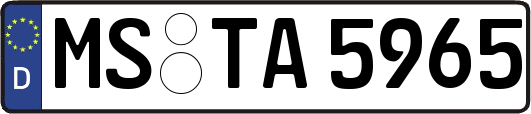 MS-TA5965