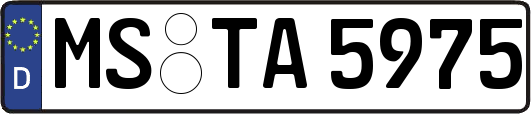 MS-TA5975