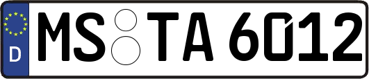 MS-TA6012