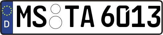 MS-TA6013
