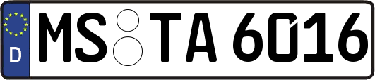 MS-TA6016
