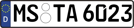 MS-TA6023