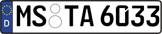 MS-TA6033