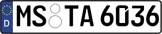 MS-TA6036